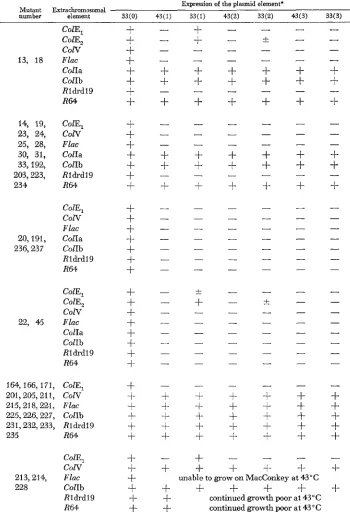 TABLE 3 Maintenance of extrachromosomal elements at 43°C in the chromosomal-located mutants 