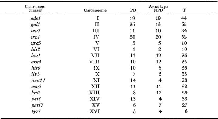 TABLE 3 Ascus-type ratios markers (PD: NPD: on the T )  for cly2 in combination with centromere established linkage groups 