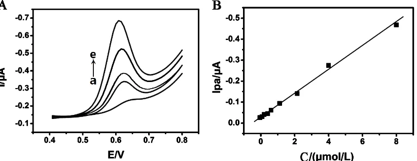 Figure 5 ( A) DPV curves of different bergenin concentrations on CS-GR/GCE in 0.04 mol/L pH 5.0 PBS (from a to e: 0.2, 0.8, 2.0, 4.0, 8.0 μmol/L); (B) Calibration curve for 0.02~8.0 μmol/L bergenin