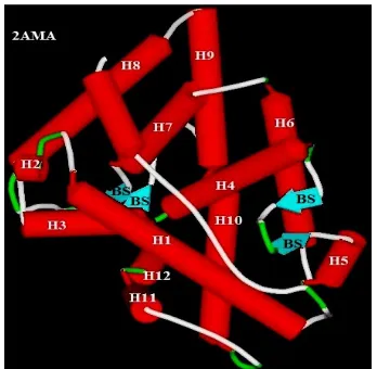 Fig 2: Essential Hydrogen bond interactions of DHT 