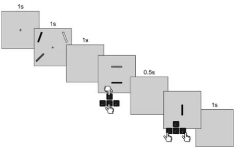 Figure 2. A trial of the orientation recall task. For the dual task, such atrial was completed in place of the 8-second retention interval of theletter recall task