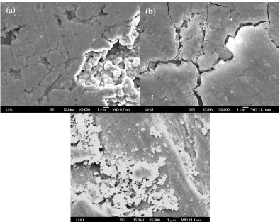 Figure 8.   SEM micrographs of electroless plated samples after wear testing for each substrate pretreatment: (a) roughening and then activation (sample 1), (b) sandblasting (sample 2) and (c) plasma etching (sample 3), which correspond to Fig