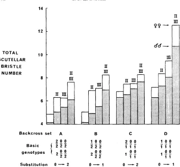 FIGURE and I and marked by 2 respectively (cf. Table 4). The chromosomes substituted are given above the histogram I1 somes bristle number in females (total columns) and males (hatched columns)