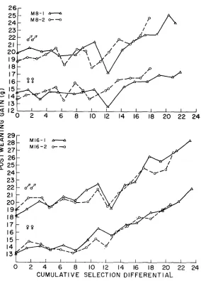 FIGURE 5.-Generation means for postweaning gain in the individual replicates of the and M8 MI6 populations, plotted against the cumulative selection differential