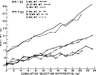 FIGURE 6.-Generation means for female three- and six-week weights and postweaning gain in M16-1 and Ml6-2, adjusted for environmental effects, plotted as a function of the cumulative selection differential