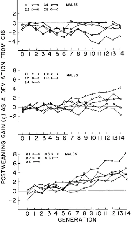 FIGURE 2.-Generation means for male postweaning gain, pooled over replicates, expressed as a deviation from the mean value of C16 each generation