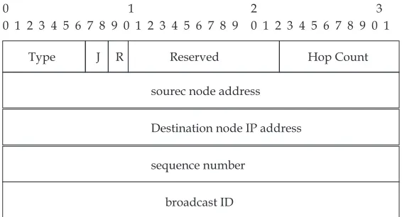 Fig. 1. RREQ packet format 