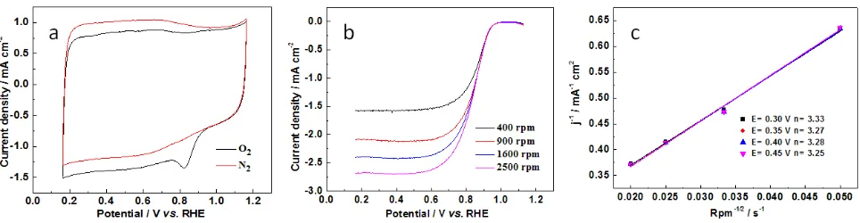 Figure 4. (a) XPS survey spectrum, and (b) N 1s spectrum of M-CD. 