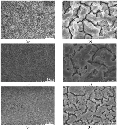 Figure 1.  Low- and high-magnification SEM images of aluminum anodic oxidized with the single-potential step chronoamperometry mode