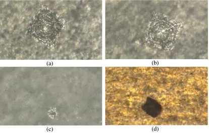 Figure 4.  Images of the aluminum samples after the indentation hardness test.  (a), (b), (c) and (d) are the anodic oxidized samples and not sealed, sealed with boiling water, sealed with NiSO4 solution, and reddened respectively