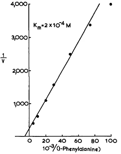 FIGURE 4.-Lineweaver-Burk plot U in pmoles per mg of the uptake of PHE by hyphal suspensions of ribo1,bil