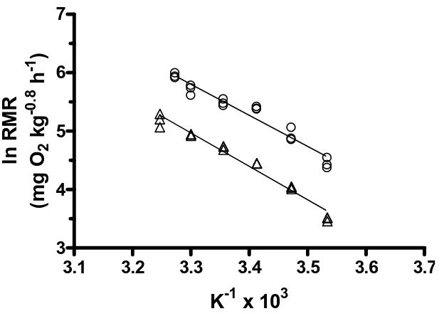 Figure 2.3. Arrhenius plot of for mulloway (triangle) and yellowtail kingfish (circle) where K = absolute temperature