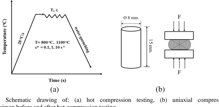 Figure 2.  Schematic drawing of: (a) hot compression testing, (b) uniaxial compression specimen before and after hot compression testing 