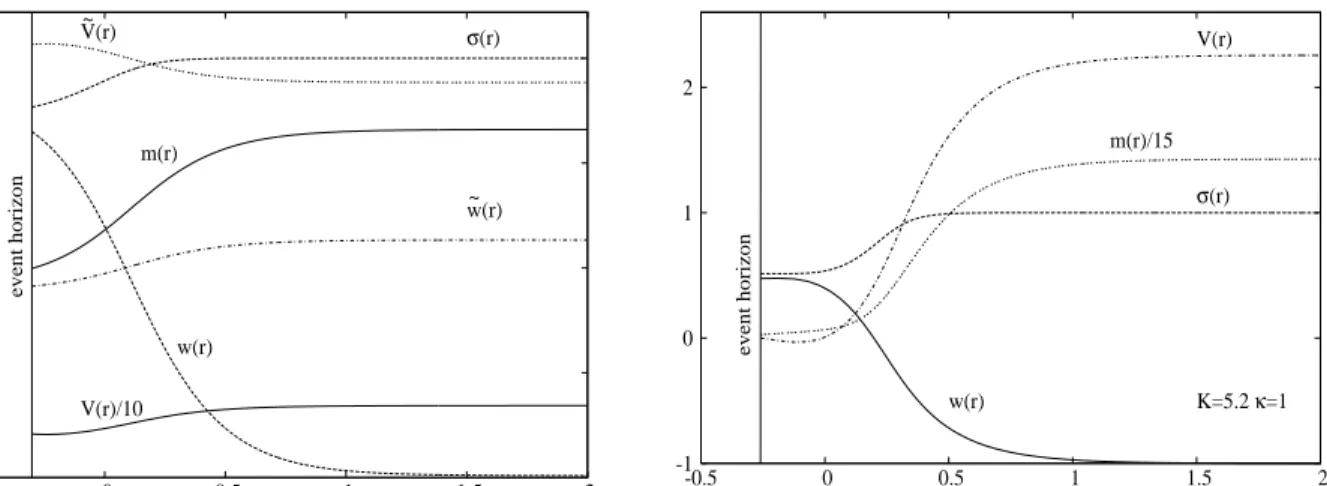 Figure 6: Left: The profiles of a typical non extremal black hole solution of the SO(6) model is presented as a function of the radial coordinate r