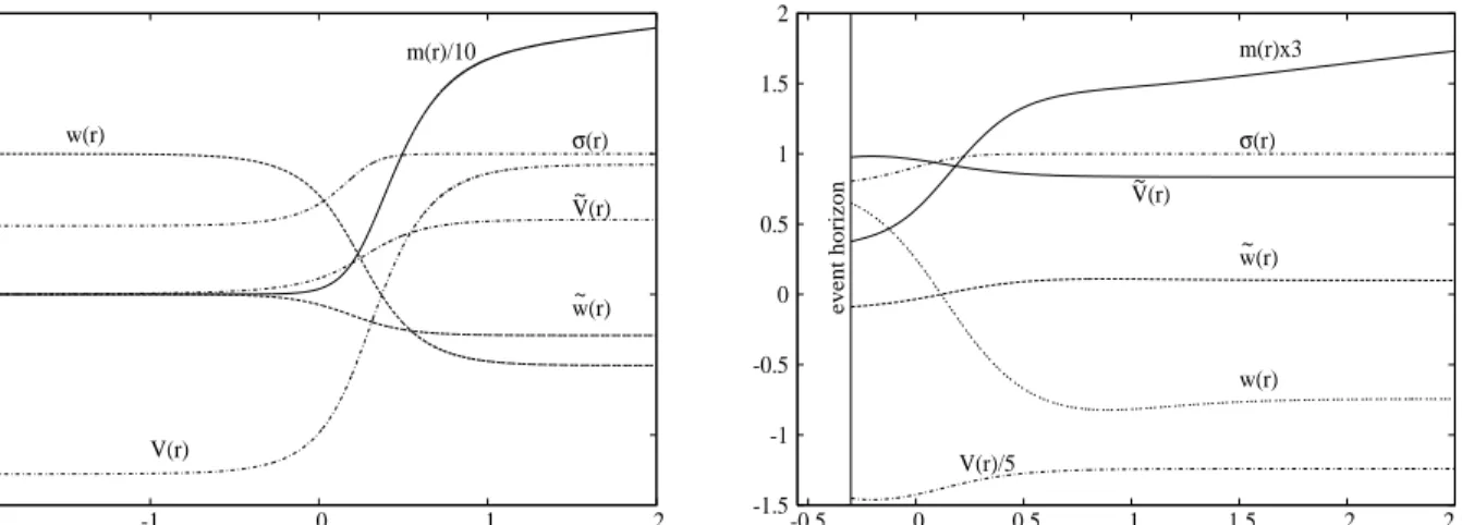 Figure 1: The profiles of a typical globally regular solution (left) and a black hole solution (right) of the EYMCS equations are presented as a function of the radial coordinate r