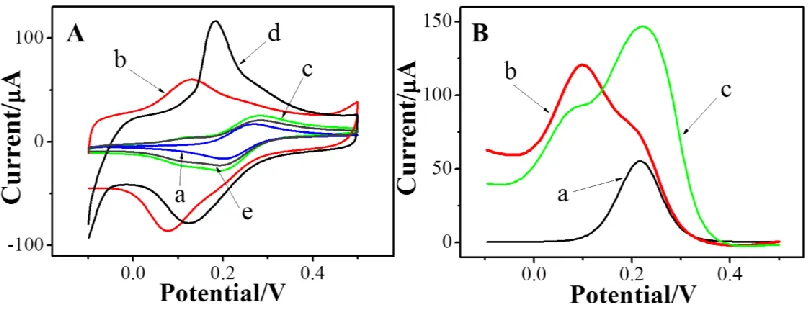 Figure 4A, it is clearly seen that the current of PDDA/SWCNTs/GCE has no tremendous change by +