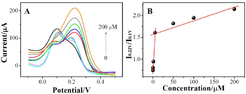 Figure 5.  A) DPV curves of the HNCNs/PDDA/SWCNTs/GCE sensor after incubating with various concentrations of Ag+ ion in 50 mM pH 7.0 Tris-HNO3 solution containing 5 mM [Fe(CN)6]3−/4−