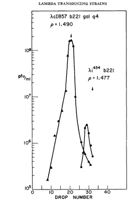 FIGURE 3.-CsCl of A-A-A gradient analysis of non-transducing segregants in a lysate of AcI857b221galq4: = AcI857b221galq4; 0-0-0 = non-transducing segregants; the arrow marks the position the marker phage Ximm4s4b221