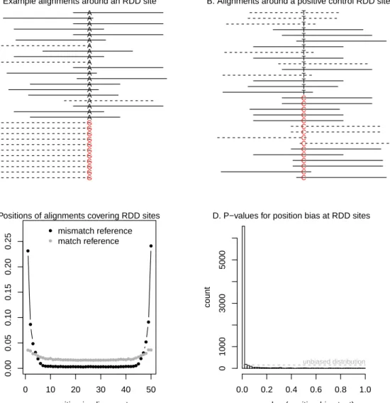 Figure 1: Identifying false positive RDD calls. A. RNA-seq read alignments around an RDD call from Li et al
