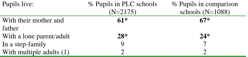 Table 11. Ethnic background (Year 11)  