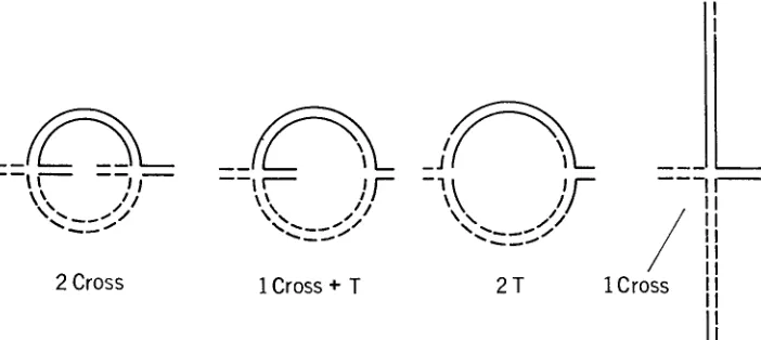 TABLE 3 Kinds of configurations formed in three intercrosses with TI-5 LL-5 
