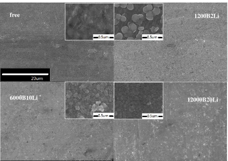 Figure 6. The SEM micrographs of SS316L after being corroded in various boric acid solutions for 7 days at 185°C