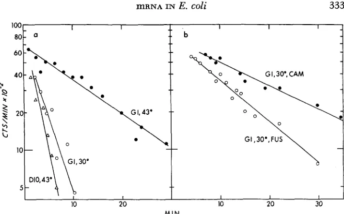 FIGURE 1.-Breakdown insoluble c.p.m. tion of label and subsequent breakdown of unstable Then 30°C about presence or absence of chloramphenicol and fusidic acid