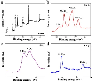 Figure 3. (a) XRD patterns of Co-Mo-S(1:2)/CC and the peeled off Co-Mo-S(1:2) samples, and (b) Raman spectra of Co-Mo-S(1:2)/CC