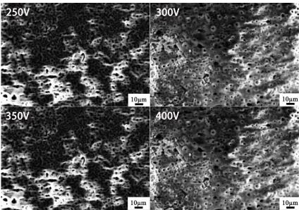 Figure 2.  SEM morphologies of MAO coatings prepared at different applied voltages: 250 V; 300 V; 350 V; 400 V 