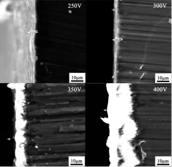 Figure 3. Cross-sectional SEM images of the coatings prepared by micro-arc oxidation on ZK60 alloys at different applied voltages: 250 V; 300 V; 350 V; 400 V  