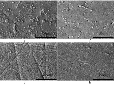 Figure 8. SEM micrographs of samples obtained by a-e CAS; b-f MIL; c-g SLM and d-h SLS before and after corrosion testing in artificial saliva at 370C, 30 µm scale