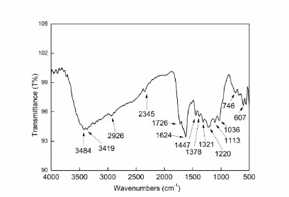 Figure 9. FT-IR result of Jasmine tea extract 