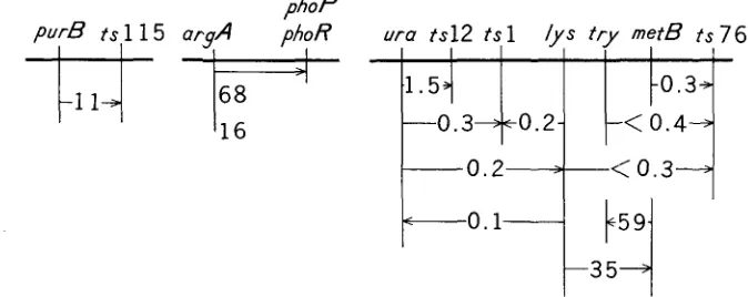 TABLE 5 Results of cotransduction experiments with phage PBSI 