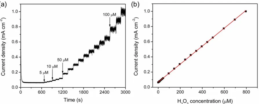 Figure 8.  I-t curve of Co3O4-1 (holding at 1.45 V) for the successive addition of H2O2 in 1 M KOH; (b) linear calibration relationship of current densities vs