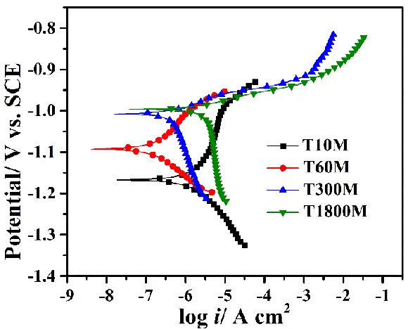 Table 5. Electrochemical parameters obtained on the silane-modified conversion films   