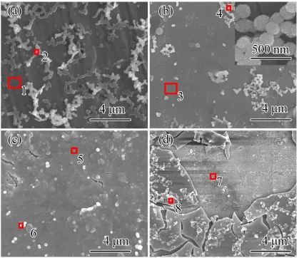 Figure 3. SEM images showing the surface morphologies of (a) T10, (b) T60, (c) T300, and (d) T1800