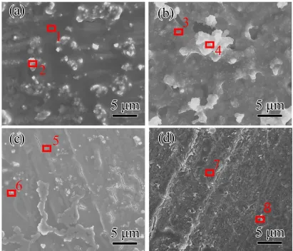 Figure 4. SEM images showing the surface morphologies of (a) T10M, (b) T60M, (c) T300M, and (d) T1800M