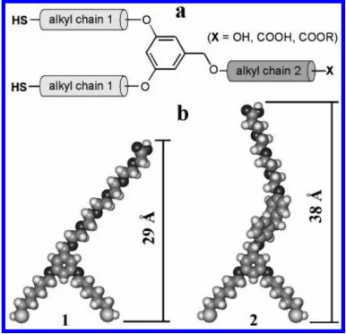 Figure 1. (a) Structural features of dithiols derived from 3,5-dihydroxybenzyl alcohol