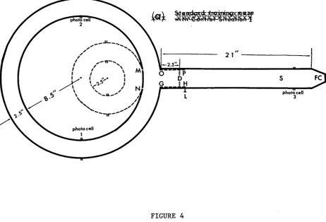 Ground plan of a control maze. FIGURE 4FC, food cup; S, approximate spot at