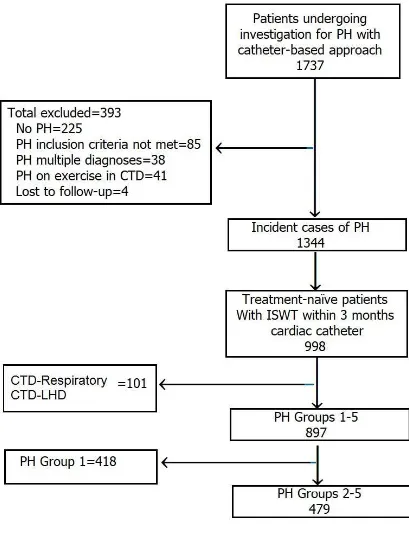 Fig. 1. The study cohort. PH: pulmonary hypertension; ISWT: Incremental shuttle walk test;  