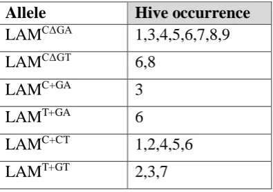 Table 2.1: Identified AmLAM alleles. Six alleles identified across 8 SDI hives (1-5, 