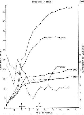 FIGURE 2.-Growth and curves together with coefficients of variation at different ages of the LG SM strains of mice that were the parental strains for producing the sublines used in the diallel crosses