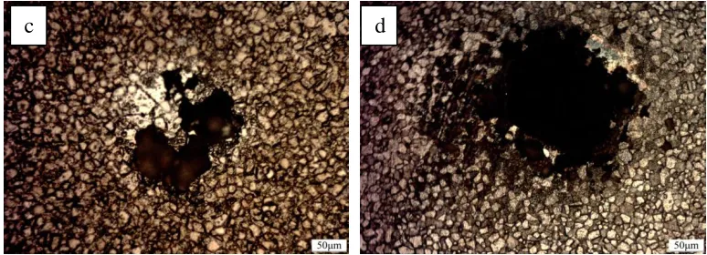 Figure 9. Optical microscope surface morphologies of S32707 in 3.5 wt.% NaCl solution after applying an anodic potential of 750 mV(SCE) at (a) 45 °C (b) 55 °C (c) 65 °C and (d) 75 °C