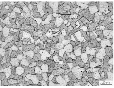Figure 1.  The microstructure of super duplex stainless steel S32707 