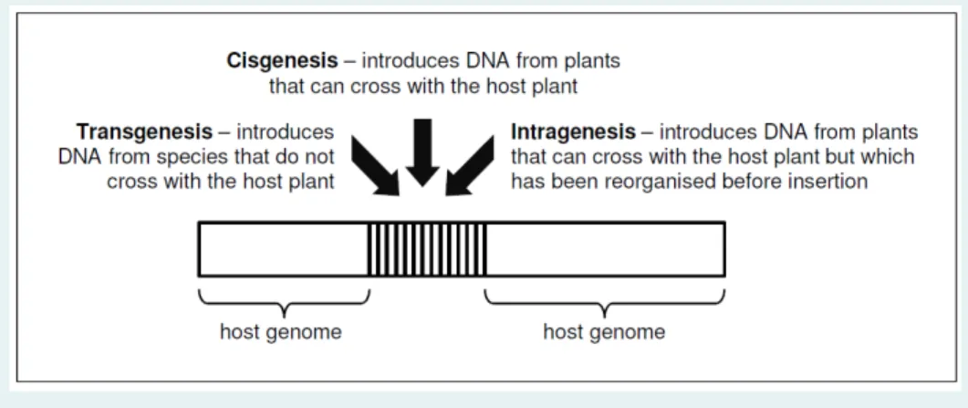 Figure 4:  Schematic diagram of the three different forms of genetic transformation  (transgenesis, cisgenesis and intragenesis) (adapted from ACRE 2013) 