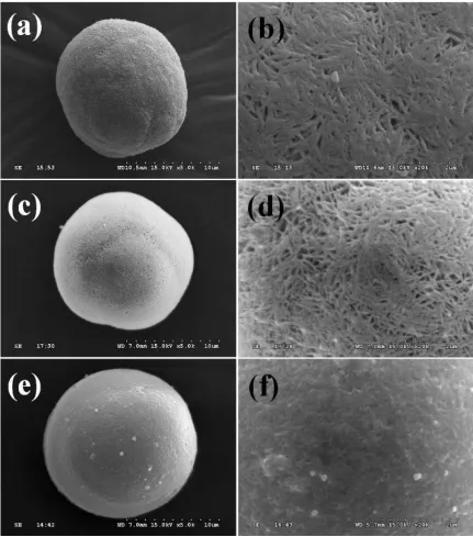 Figure 2. SEM images: (a)(b) NC(OH)2, (c)(d) NCMg(OH)2, and (e)(f) Al(OH)3-coated NCMg(OH)2 particles