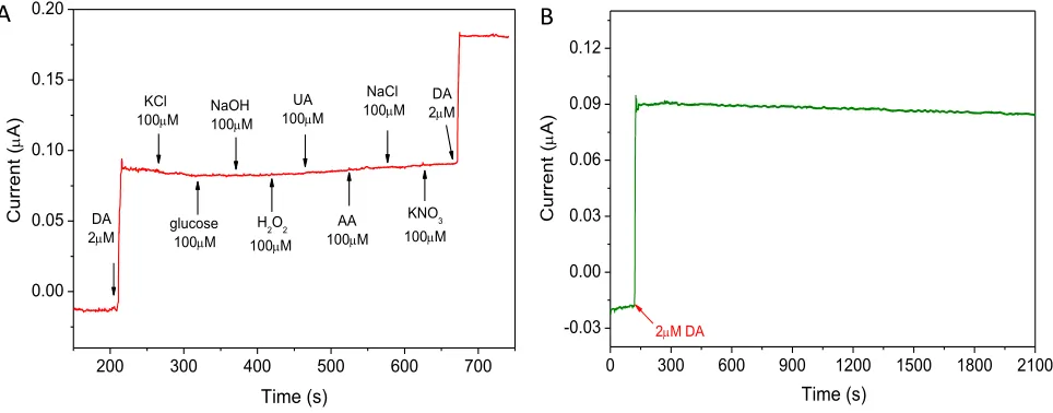 Figure 6.  A: The current responses of the rCAG electrode for DA and other interfering species