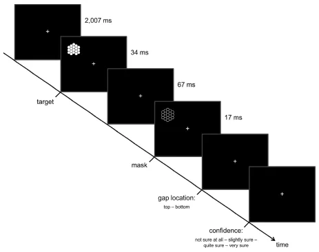 Fig. 1. Behavioral task. Throughout the task, participants fixated a white cross displayed 