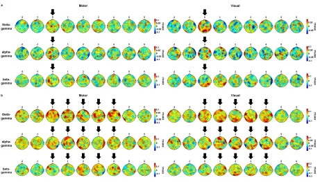 Figure 4: Grand average topographic maps of phase-amplitude coupling. Plots show the 