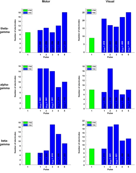 Figure 5: Global comparisons of phase-amplitude coupling between sTMS and rTMS. Plots 